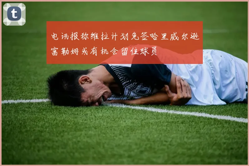 电讯报称维拉计划免签哈里威尔逊富勒姆或有机会留住球员