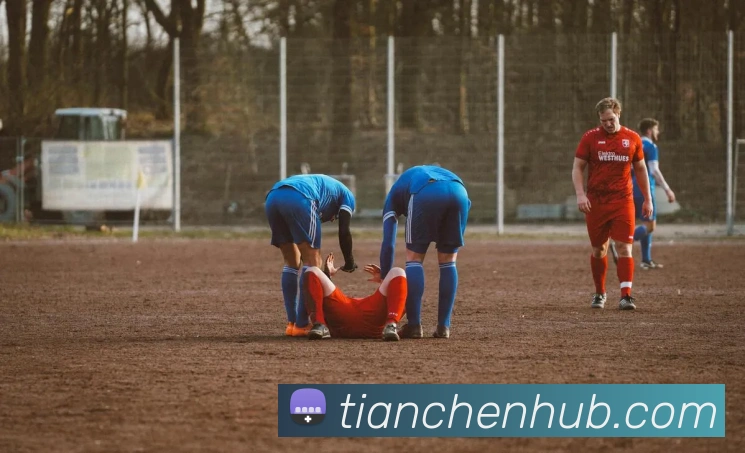 天辰娱乐服务体系